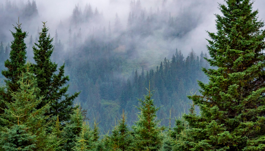 The Art of Loving Retreat for Men in Oregon!
